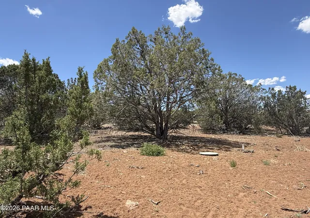 Photo 3 of Land for sale at 1885 Daggs St, Show Low, AZ 85901 | MLS# 1082566 | Listing updated on 2026-09-11