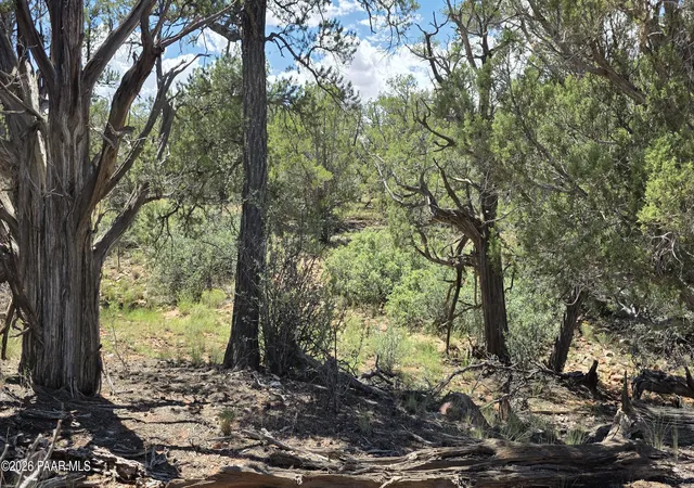 Photo 2 of Sale Pending at Lot 51 Off Rising Rock Rd, Ash Fork, AZ 86320 | MLS# 1084519 | Listing updated on 2026-09-22