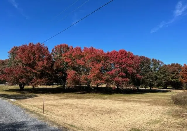Photo 3 of Manufactured home for sale at 9733 Snow Hl Rd, Ooltewah, TN 37363 | MLS# 2709891 | Listing updated on 2026-09-11