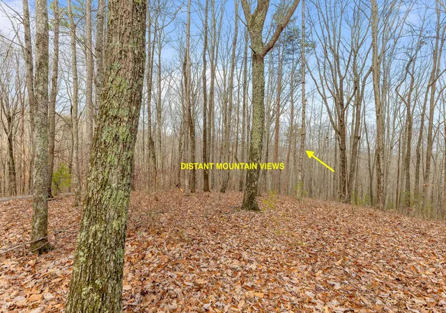 Photo 3 of Land for sale at 0 Lookout Crest Lane, Lookout Mountain, GA 30750 | MLS# 2484643 | Listing updated on 2026-10-07