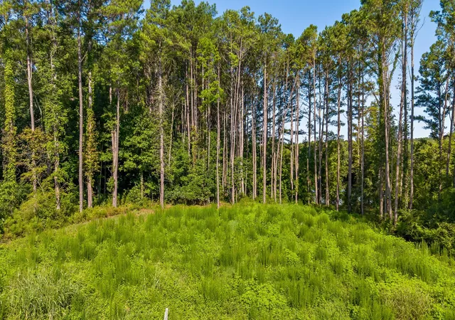 Photo 3 of Land for sale at 67 Clubhouse Dr, Jasper, TN 37347 | MLS# 2705535 | Listing updated on 2026-09-11