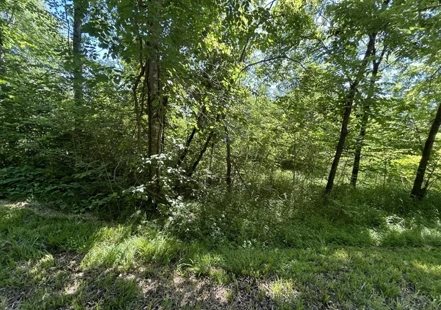 Photo 3 of Sale Pending at 0 Dr Johnson Road, Crandall, GA 30711 | MLS# 3211615 | Listing updated on 2026-09-11