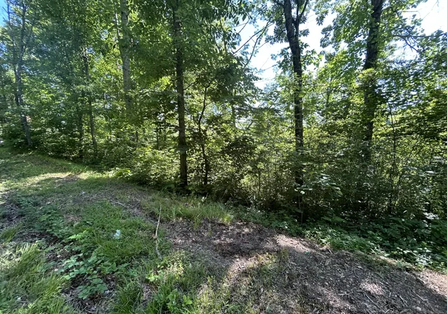 Photo 4 of Sale Pending at 0 Dr Johnson Road, Crandall, GA 30711 | MLS# 3211615 | Listing updated on 2026-09-11
