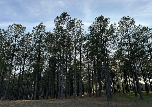 Photo 3 of Land for sale at 362 Cumberland Circle, Jasper, TN 37347 | MLS# 2883036 | Listing updated on 2026-09-11