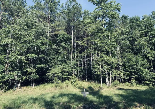 Photo 3 of Land for sale at 4910 Raulston Falls Road, Jasper, TN 37347 | MLS# 2883041 | Listing updated on 2026-09-11