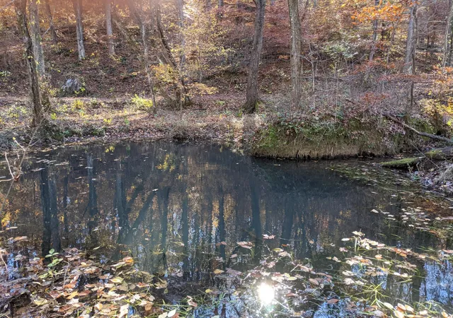 Photo 2 of Land for sale at 10688 Pine Hl Rd, Mc Donald, TN 37353 | MLS# 2988748 | Listing updated on 2026-09-11