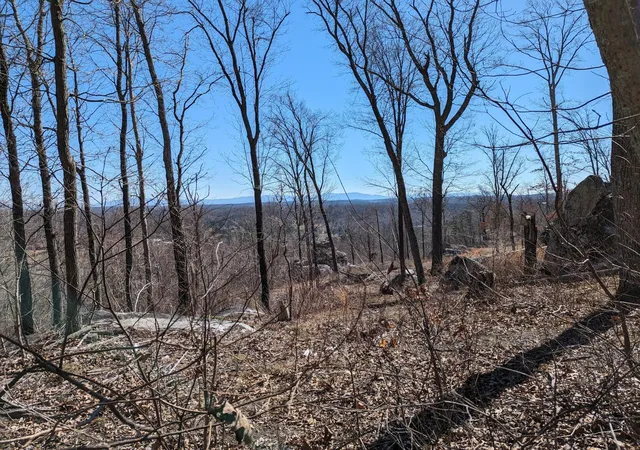 Photo 4 of Land for sale at 10688 Pine Hl Rd, Mc Donald, TN 37353 | MLS# 2988748 | Listing updated on 2026-09-11