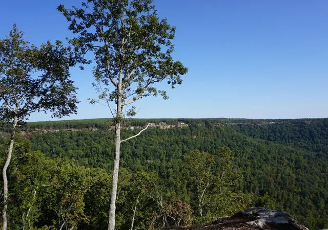 Photo 2 of Land for sale at 0 Crockett Point, Jasper, TN 37347 | MLS# 2777069 | Listing updated on 2026-09-14