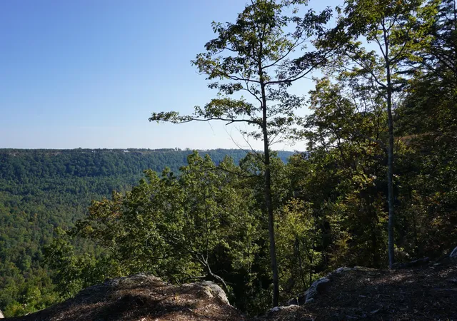 Photo 3 of Land for sale at 0 Crockett Point, Jasper, TN 37347 | MLS# 2777069 | Listing updated on 2026-09-14