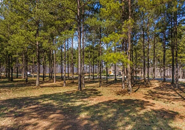 Photo 4 of Land for sale at 950 Cumberland Cir, Jasper, TN 37347 | MLS# 2867394 | Listing updated on 2026-09-11