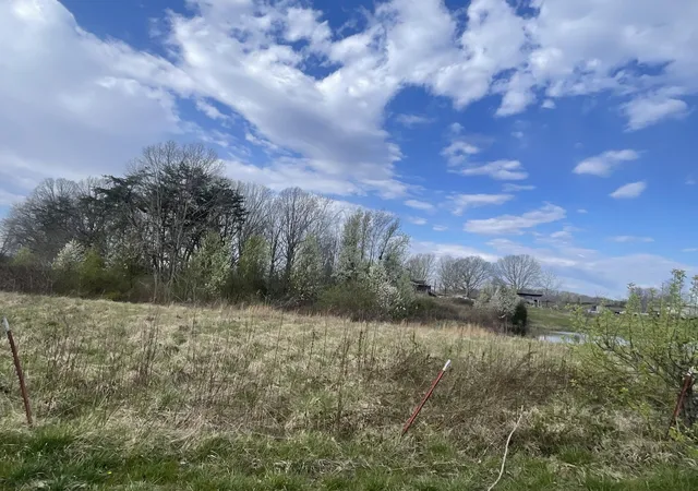 Photo 2 of Land for sale at 2 Watson Loop, Pikeville, TN 37367 | MLS# 2809196 | Listing updated on 2026-09-11