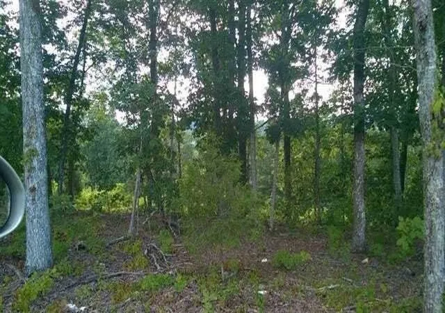 Photo 1 of Land for sale at 104105 Peach Orchard Hl Rd Ne, Cleveland, TN 37323 | MLS# 3223386 | Listing updated on 2026-09-11