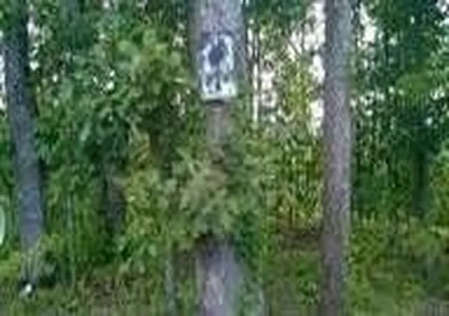 Photo 2 of Land for sale at 104105 Peach Orchard Hl Rd Ne, Cleveland, TN 37323 | MLS# 3223386 | Listing updated on 2026-09-11