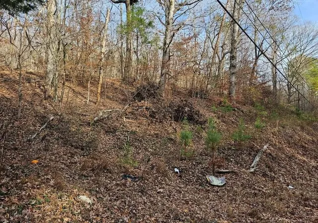 Photo 3 of Sale Pending at 7 Smyrna Road, Evensville, TN 37332 | MLS# 2814424 | Listing updated on 2026-09-29