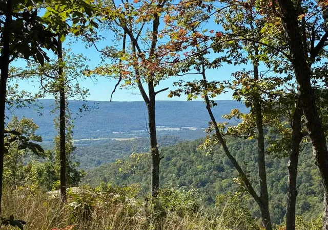 Photo 1 of Land for sale at 4093 Raulston Falls Road, Jasper, TN 37347 | MLS# 2883055 | Listing updated on 2026-09-11