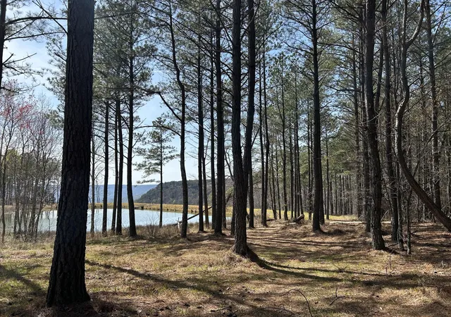 Photo 2 of Land for sale at 4093 Raulston Falls Road, Jasper, TN 37347 | MLS# 2883055 | Listing updated on 2026-09-11