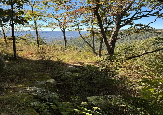 Photo 3 of Land for sale at 4093 Raulston Falls Road, Jasper, TN 37347 | MLS# 2883055 | Listing updated on 2026-09-11