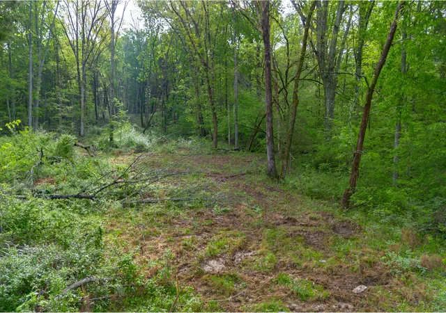Photo 4 of Land for sale at 6205 Hunters Point Pike, Lebanon, TN 37087 | MLS# 2821819 | Listing updated on 2026-09-11