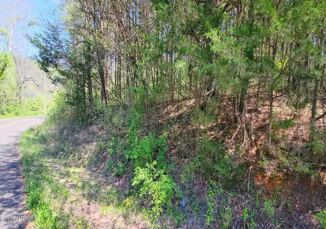 Photo 2 of Land for sale at 110 West Dr, Parrottsville, TN 37843 | MLS# 3544515 | Listing updated on 2026-09-26