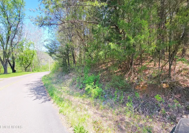 Photo 3 of Land for sale at 110 West Dr, Parrottsville, TN 37843 | MLS# 3544515 | Listing updated on 2026-09-26