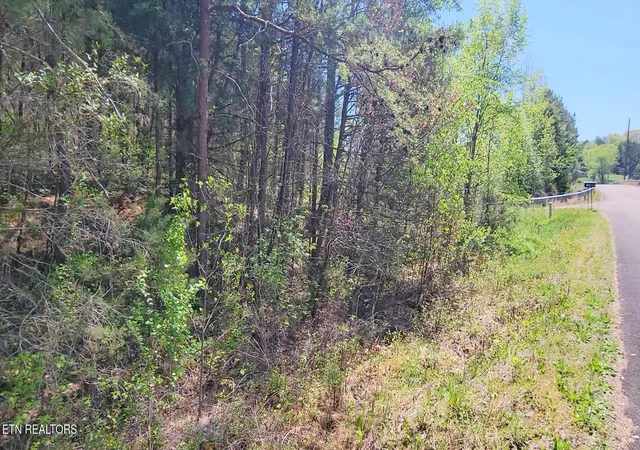 Photo 4 of Land for sale at 110 West Dr, Parrottsville, TN 37843 | MLS# 3544515 | Listing updated on 2026-09-26