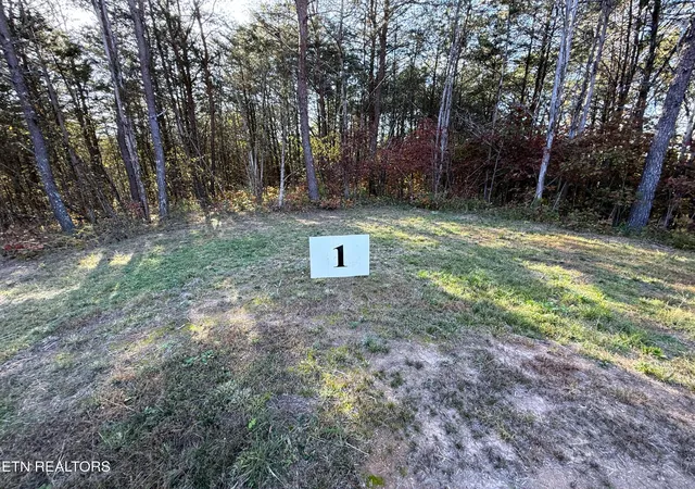 Photo 3 of Land for sale at 13 Topaz Way, Parrottsville, TN 37843 | MLS# 3078514 | Listing updated on 2026-09-11