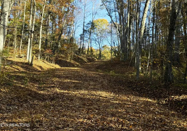 Photo 2 of Land for sale at 4 Topaz Way, Parrottsville, TN 37843 | MLS# 3078511 | Listing updated on 2026-09-11