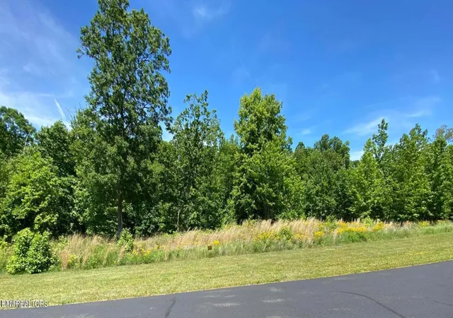 Photo 1 of Land for sale at 0 Water View Dr, Rockwood, TN 37854 | MLS# 3079726 | Listing updated on 2026-09-11