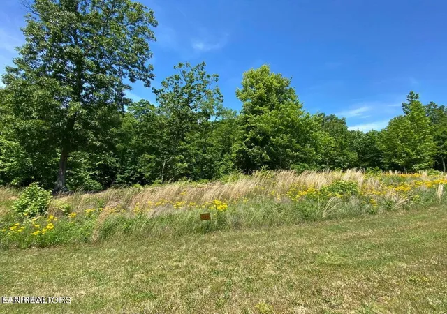 Photo 2 of Land for sale at 0 Water View Dr, Rockwood, TN 37854 | MLS# 3079726 | Listing updated on 2026-09-11
