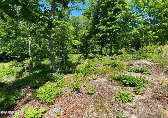 Photo 3 of Land for sale at 0 Water View Dr, Rockwood, TN 37854 | MLS# 3079726 | Listing updated on 2026-09-11