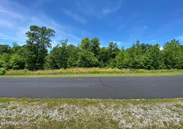 Photo 4 of Land for sale at 0 Water View Dr, Rockwood, TN 37854 | MLS# 3079726 | Listing updated on 2026-09-11