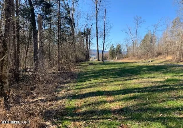 Photo 4 of Land for sale at 0 Eagle Ridge Dr, Rockwood, TN 37854 | MLS# 3079720 | Listing updated on 2026-09-11