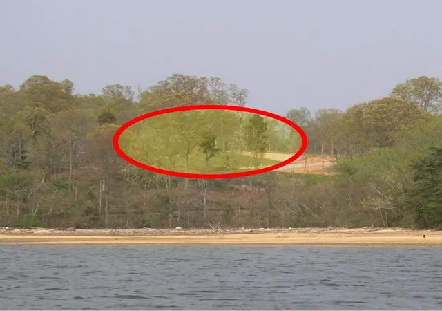 Land for sale at 383 Thief Neck View, Rockwood, TN 37854 | MLS# 2959063