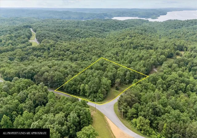 Land for sale at 0 Highwater Road, Waverly, TN 37185 | MLS# 2882956
