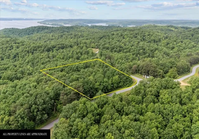 Photo 3 of Land for sale at 0 Highwater Road, Waverly, TN 37185 | MLS# 2882956 | Listing updated on 2026-09-15