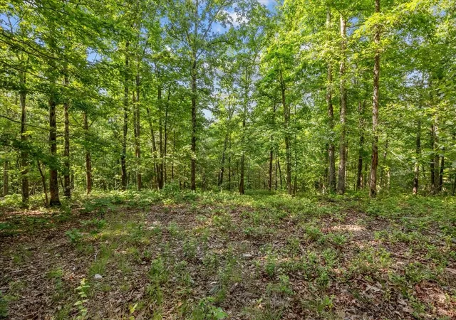 Photo 4 of Land for sale at 0 Highwater Road, Waverly, TN 37185 | MLS# 2882956 | Listing updated on 2026-09-15