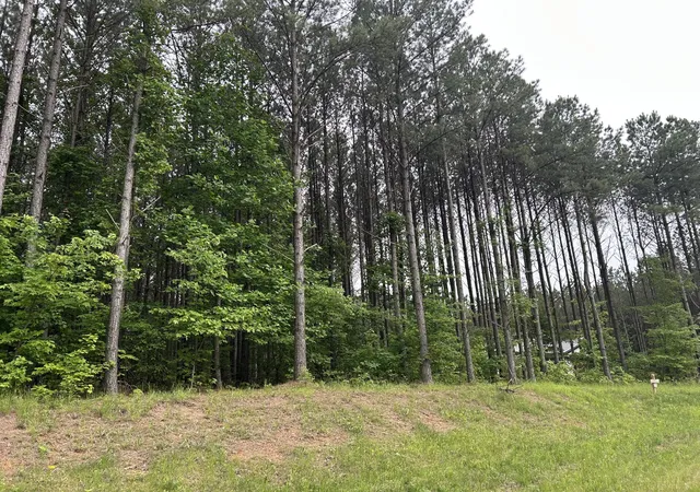 Photo 3 of Land for sale at 1771 Crockett Point, Jasper, TN 37347 | MLS# 2887605 | Listing updated on 2026-09-11