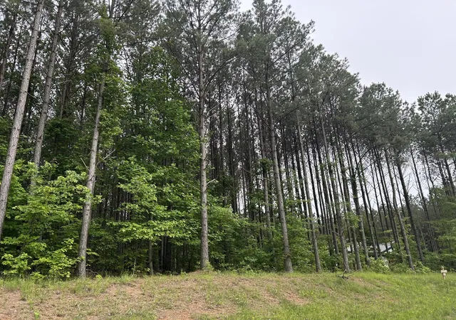 Photo 3 of Land for sale at 1771 Crockett Point, Jasper, TN 37347 | MLS# 2887605 | Listing updated on 2026-09-11