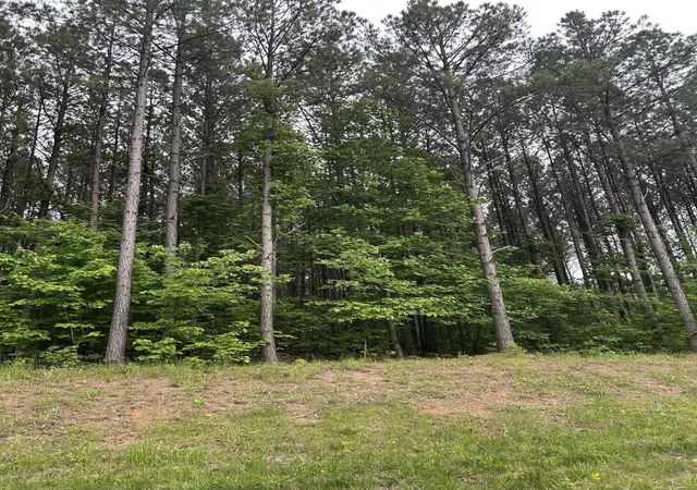 Photo 4 of Land for sale at 1771 Crockett Point, Jasper, TN 37347 | MLS# 2887605 | Listing updated on 2026-09-11