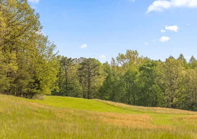 Photo 4 of Land for sale at 0 Clouse Hill Road, Tracy City, TN 37387 | MLS# 2888022 | Listing updated on 2026-09-11