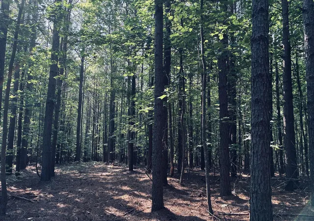 Photo 2 of Land for sale at 464 Moonlight Ln, Jasper, TN 37347 | MLS# 2889826 | Listing updated on 2026-09-11