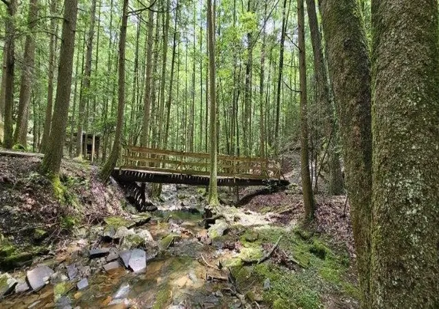 Photo 2 of Land for sale at 0 Oak Leaf Lane, Dunlap, TN 37327 | MLS# 2970781 | Listing updated on 2026-09-11