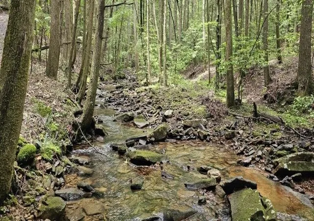 Photo 3 of Land for sale at 0 Oak Leaf Lane, Dunlap, TN 37327 | MLS# 2970781 | Listing updated on 2026-09-11