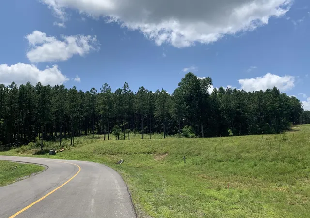 Photo 1 of Land for sale at 350 Crockett Loop, Jasper, TN 37347 | MLS# 2900047 | Listing updated on 2026-09-11