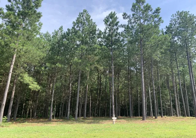 Photo 3 of Land for sale at 350 Crockett Loop, Jasper, TN 37347 | MLS# 2900047 | Listing updated on 2026-09-11