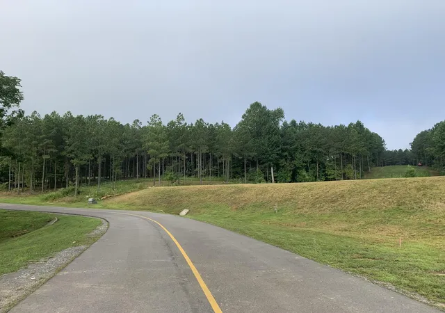 Photo 4 of Land for sale at 350 Crockett Loop, Jasper, TN 37347 | MLS# 2900047 | Listing updated on 2026-09-11