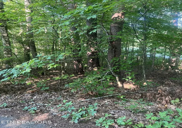 Land for sale at 12308 Yarnell Rd, Knoxville, TN 37932 | MLS# 3288638