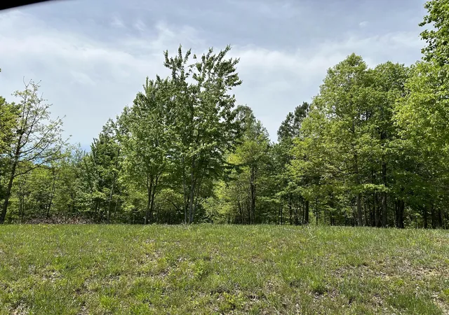 Photo 3 of Land for sale at 275 Lookout View Dr, Jasper, TN 37347 | MLS# 2926405 | Listing updated on 2026-09-11