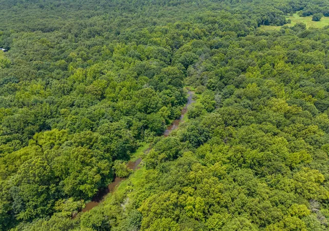 Photo 2 of Land for sale at 0 Old Railroad Bed Rd, Taft, TN 38488 | MLS# 2941746 | Listing updated on 2026-10-10