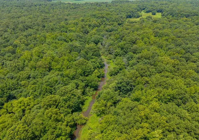 Photo 3 of Land for sale at 0 Old Railroad Bed Rd, Taft, TN 38488 | MLS# 2941746 | Listing updated on 2026-10-10